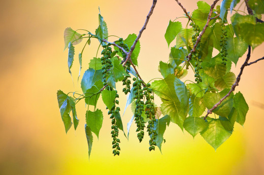 510809 (a): :2560x1700